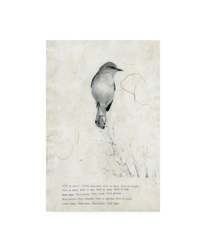 TypeLike Bird is sweet Canvas Art - 27" x 33.5"