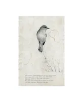 TypeLike Bird is sweet Canvas Art - 27" x 33.5"