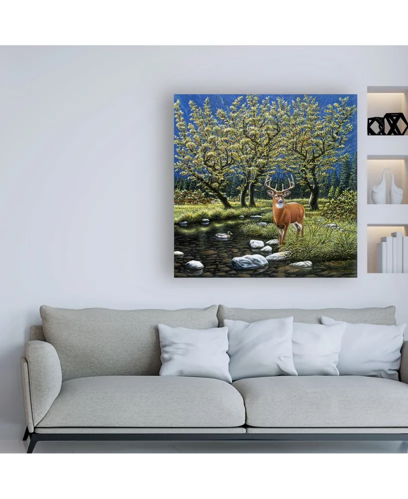 John Van Straalen Streamside Spirits Canvas Art