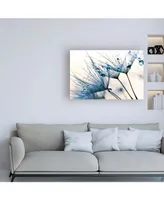 PhotoINC Studio Mystic Blue Canvas Art