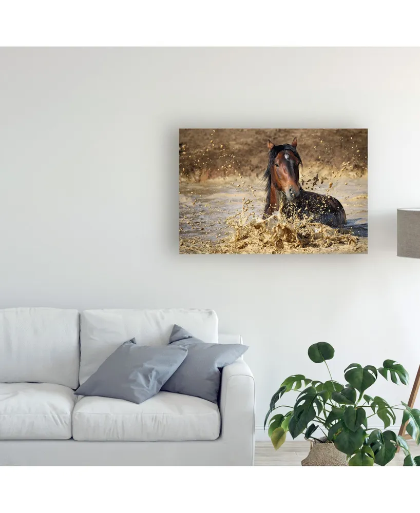 Vedran Vidak Horse in Water Canvas Art