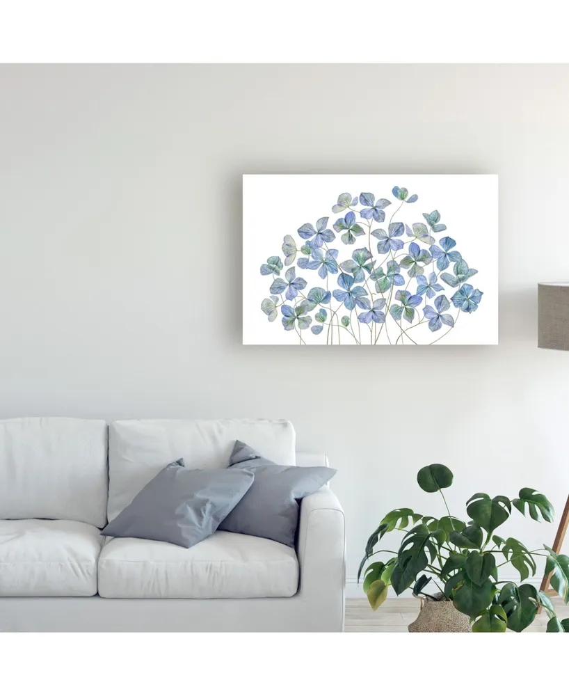 Mandy Disher Hydrangea Blue Canvas Art