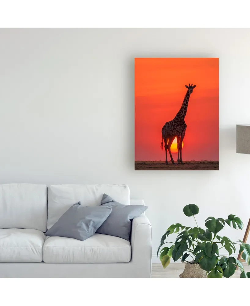 Henry Zhao Sunset Giraffe Canvas Art