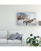 Monte Nagler Snow Bridge Farmington Hills Michigan Canvas Art - 20" x 25"