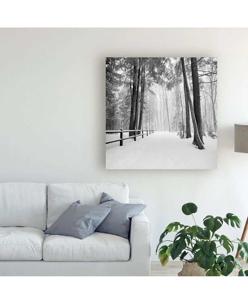 Monte Nagler Winters Path Canvas Art