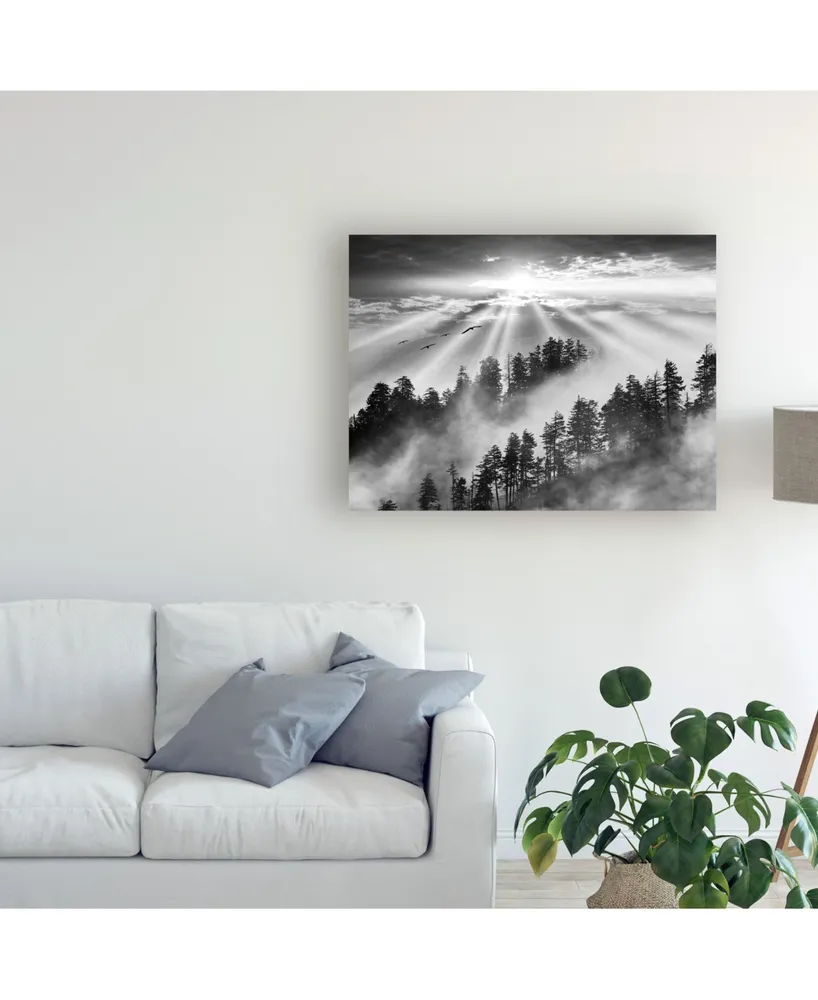 Monte Nagler Smoky Mountain Sunrise Tennessee Black and White Canvas Art