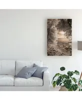 Monte Nagler Tree Frame Sepia Canvas Art - 20" x 25"