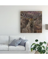 Albena Hristova The Leader Deer Canvas Art - 19.5" x 26"