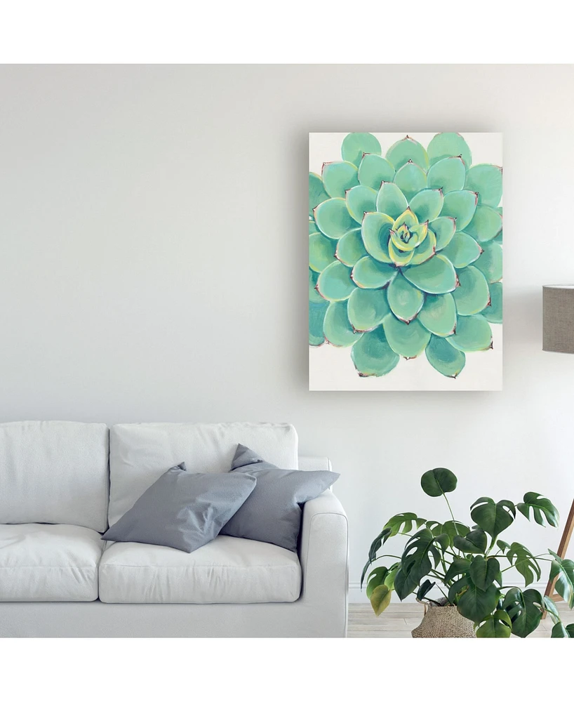 Tim O'Toole Pastel Succulent Iii Canvas Art - 27" x 33.5"