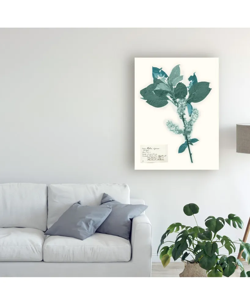 Vision Studio Pressed Flowers in Spa I Canvas Art