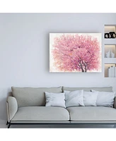 Tim OToole Pink Cherry Blossom Tree Ii Canvas Art - 27" x 33.5"