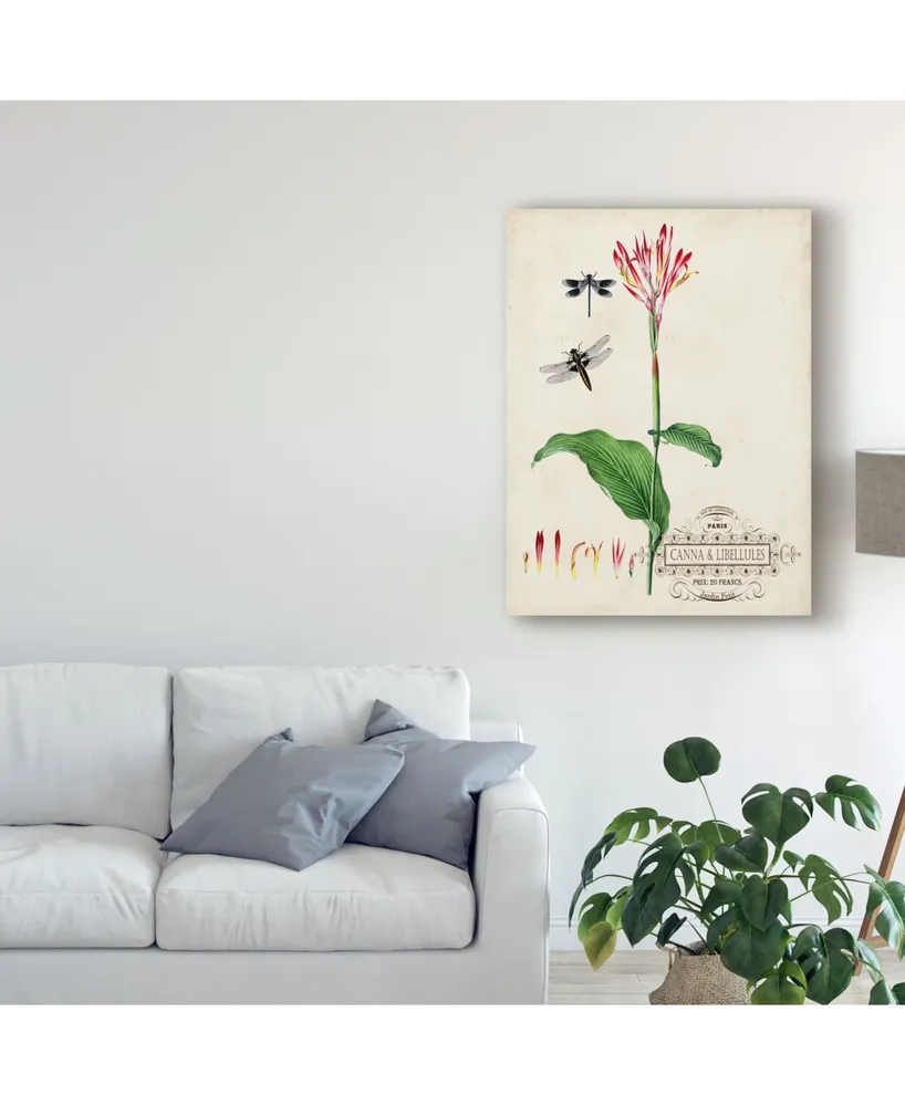 Vision Studio Canna and Dragonflies Ii Canvas Art
