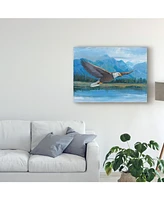 Tim Otoole Eagle Soaring Photography Canvas Art - 37" x 49"