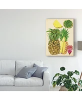 Melissa Wang Tropical Pineapple Study I Canvas Art - 20" x 25"