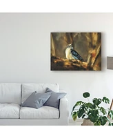 Lois Bryan Little Downy Woodpecker Canvas Art - 37" x 49"