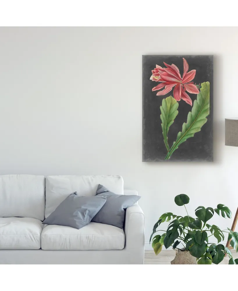 Vision Studio Dramatic Tropicals I Canvas Art