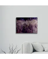 Beata Czyzowska Young Purple Rain Floating Brushed Aluminum Art - 22" x 25"