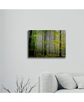 Philippe Sainte-Laudy Sugar Low Floating Brushed Aluminum Art - 22" x 25"