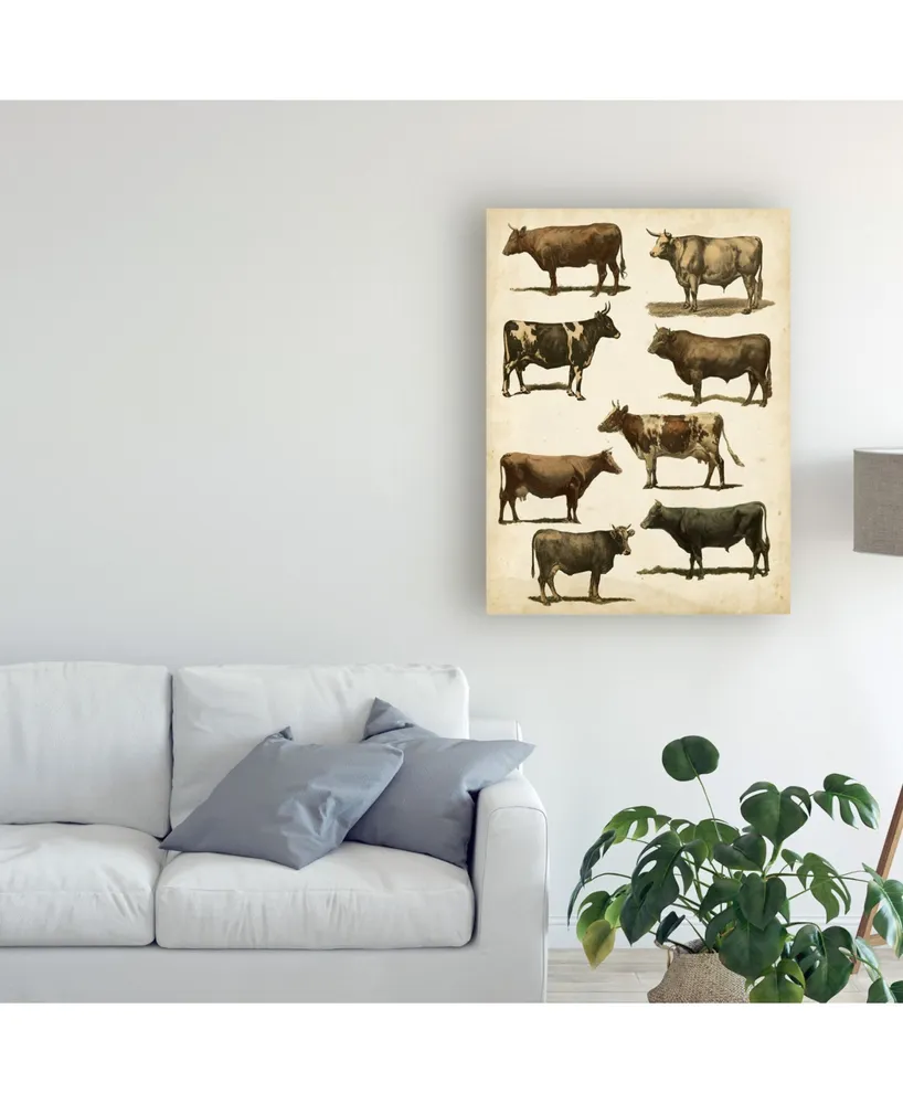 Vision Studio Antique Cow Chart Canvas Art