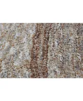 D Style Janis Jan1 5' x 7'6" Area Rug