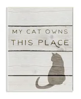 Stupell Industries My Cat Owns This Place Wall Plaque Art, 10" x 15"