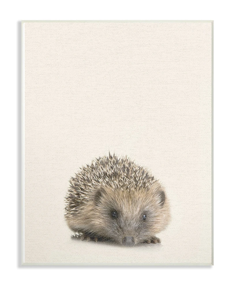 Stupell Industries Just A Cute Hedgehog Wall Plaque Art, 12.5" x 18.5"