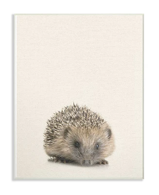 Stupell Industries Just A Cute Hedgehog Wall Plaque Art, 12.5" x 18.5"