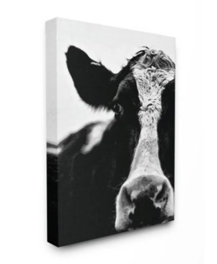 Stupell Industries Cow Black White Close Up Art Collection