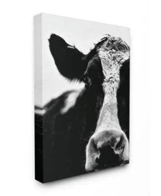 Stupell Industries Cow Black White Close Up Art Collection
