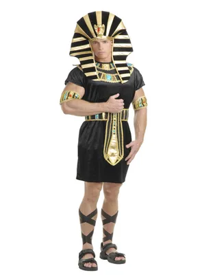 BuySeason Men's King Tut Costume