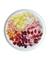 Twig New York Petals 8.5" Salad Plates