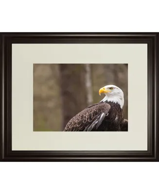 Classy Art Majestic Eagle by Gary tog Double Matted Framed Print Wall Art - 34" x 40"