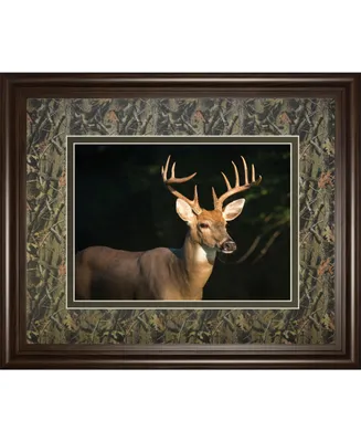 Classy Art White Tail Buck by Tony Campbell Double Matted Framed Print Wall Art - 34" x 40"