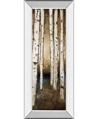 Classy Art Birch Landing Iii by St Germain Mirror Framed Print Wall Art - 18" x 42"