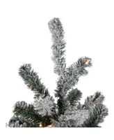 Northlight 7.5' Pre-Lit Flocked Natural Emerald Artificial Christmas Tree - Warm Clear Lights