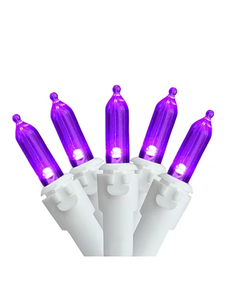 Northlight Set of 100 Purple Led Mini Christmas Lights 4" Spacing - White Wire