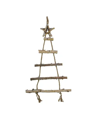 Northlight 32" Natural 5-Tier Wall Hanging Twig Tree with Star Christmas Decoration