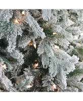 Northlight 6.5' Pre-Lit Frosted Butte Fir Artificial Christmas Tree - Clear Lights