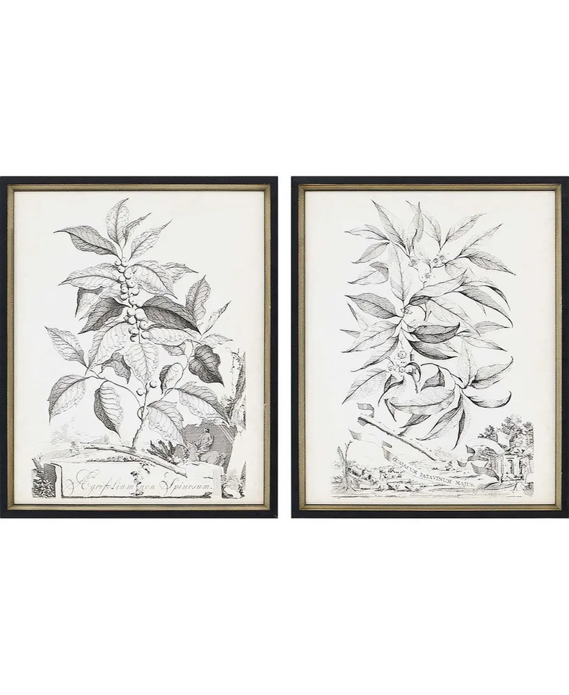 Paragon Botanicals Ii Framed Wall Art Set of 2, 22" x 18"