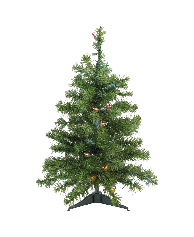 Northlight 2' Pre-Lit Canadian Pine Artificial Christmas Tree - Multi Lights