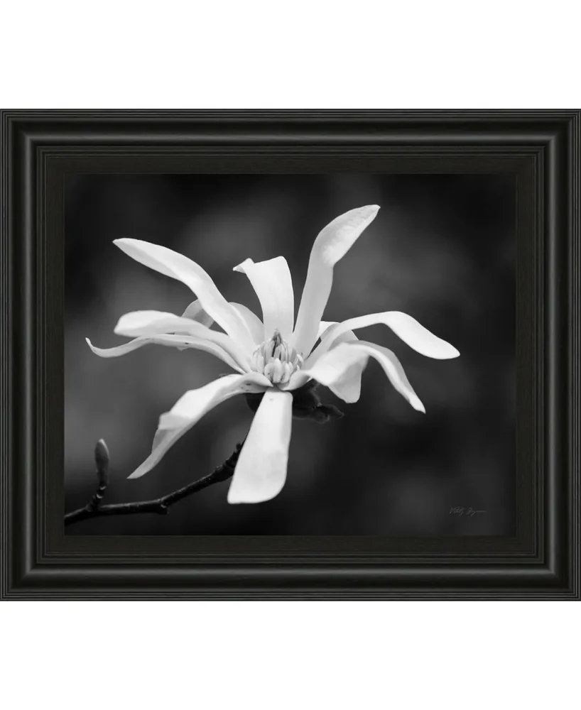 Classy Art Magnolia Dreams I by Geyman Vitaly Framed Print Wall Art, 22" x 26"