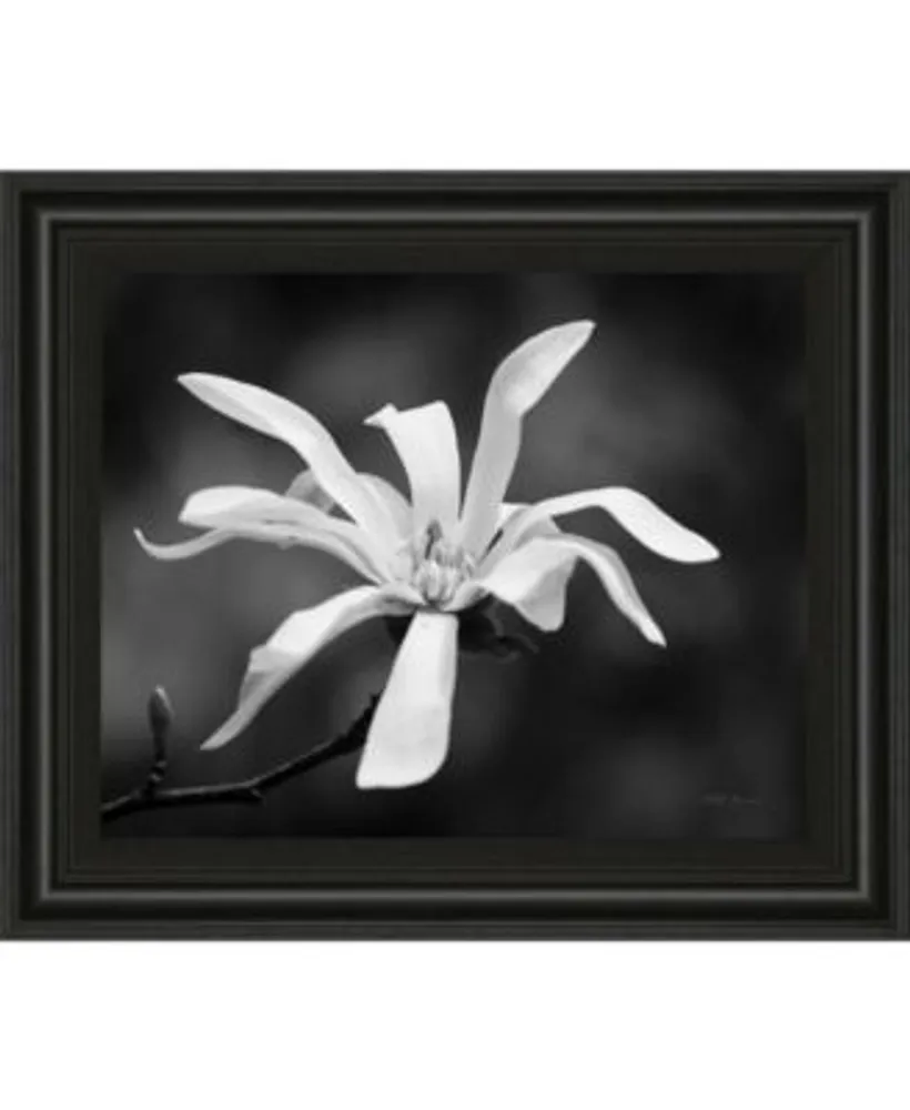 Classy Art Framed Print Wall Art Collection