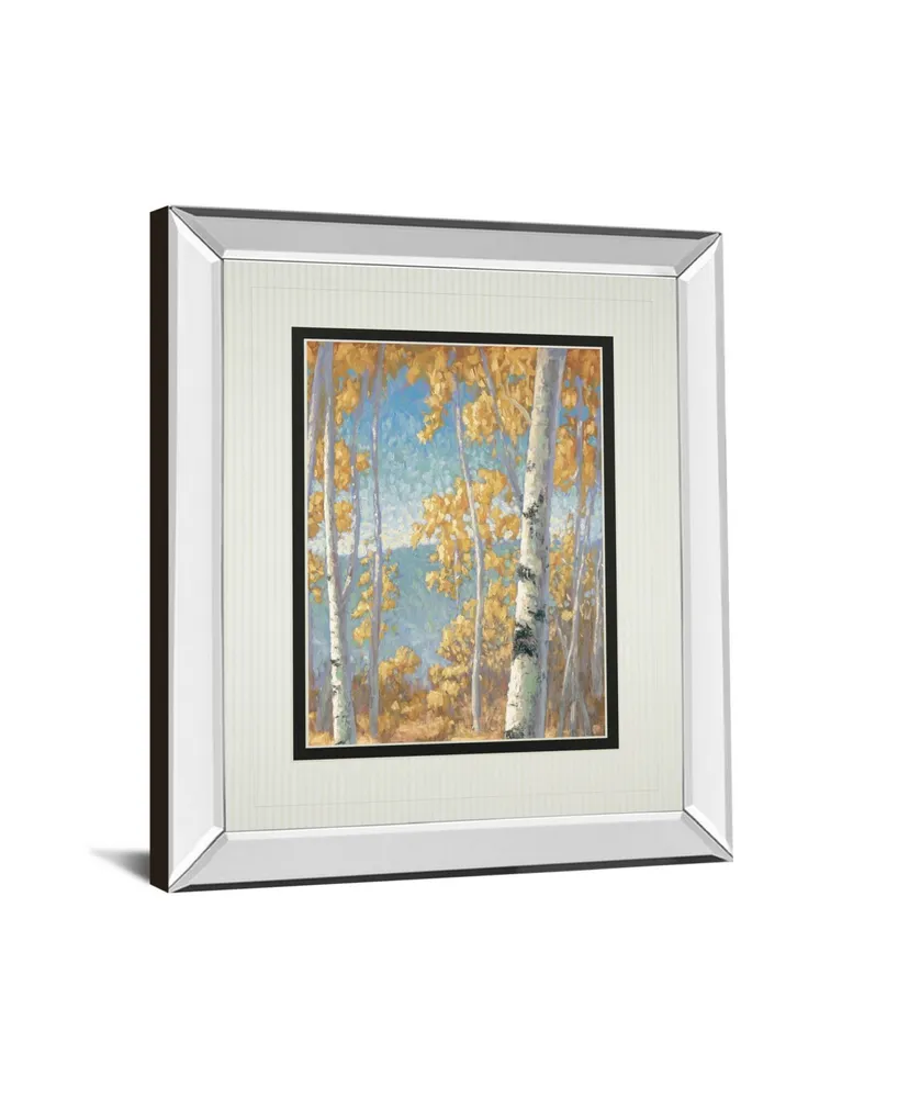 Classy Art Honey Birch Ii by John Macnab Mirror Framed Print Wall Art, 34" x 40"