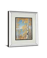 Classy Art Honey Birch Ii by John Macnab Mirror Framed Print Wall Art, 34" x 40"