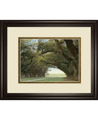 Classy Art Alley of The Oaks by William Guion Framed Print Wall Art, 34" x 40"