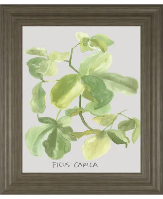 Classy Art Ficus Carica by Katrien Soeffers Framed Print Wall Art, 22" x 26"