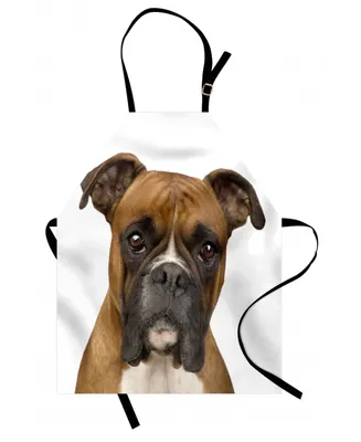 Ambesonne Boxer Dog Apron