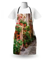 Ambesonne Italian Apron