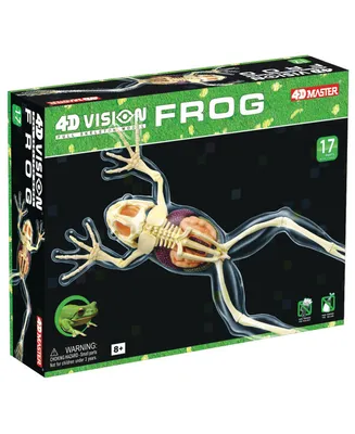 4D Master 4D Vision Full Skeleton Frog Model