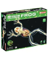 4D Master 4D Vision Full Skeleton Frog Model